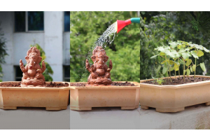 Tree Ganesha: Ganapati Goes Green
