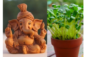 Go Green This Ganesh Chaturthi With Eco-Friendly Idols